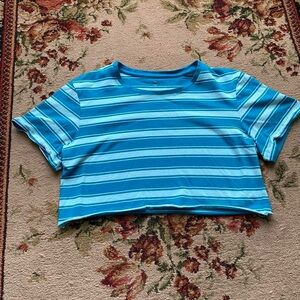 Great Northwest Clothing Company teal blue striped crop top